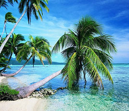 International Holidays